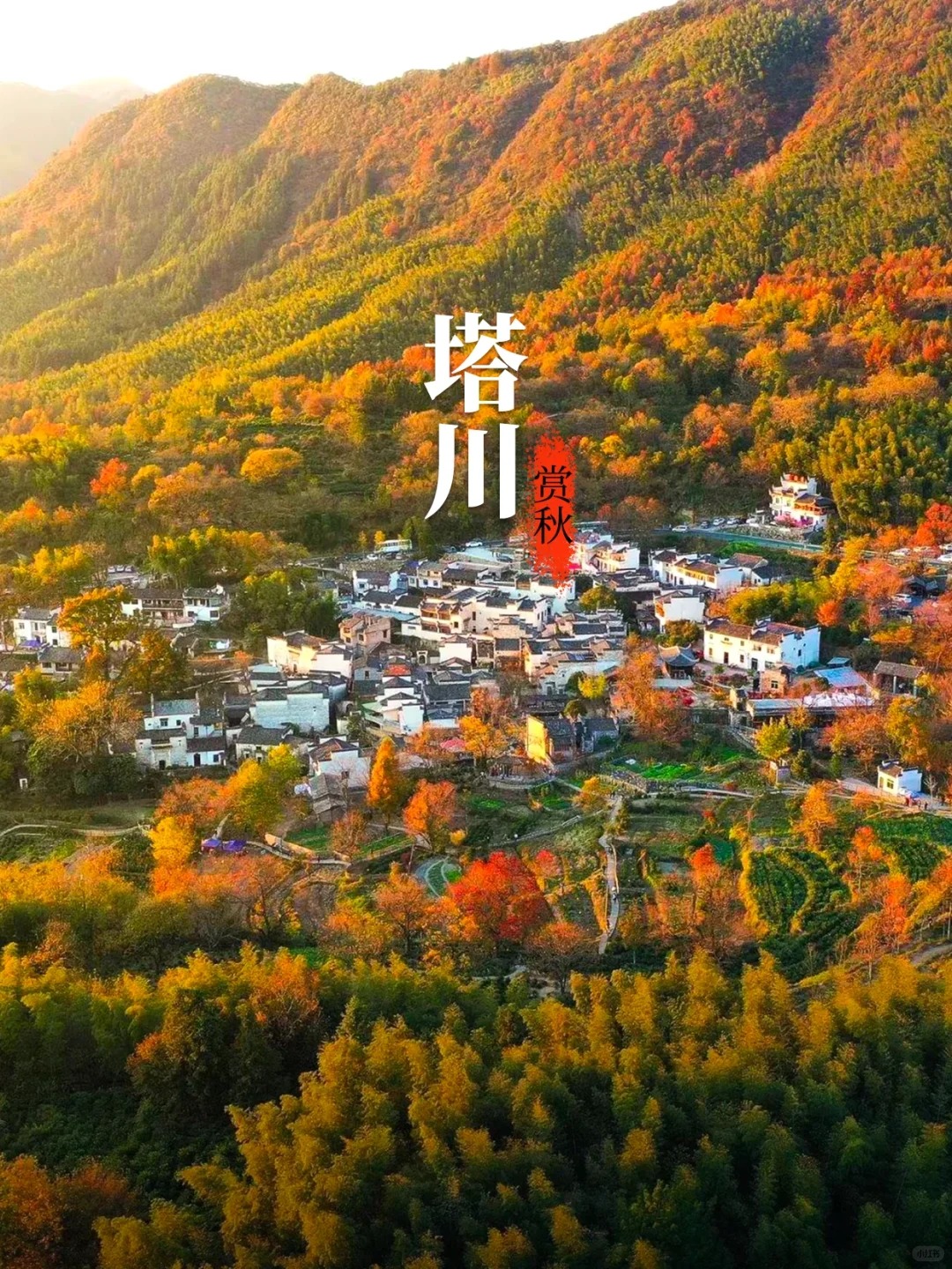塔川的秋天美哭了😭，根本没有平替_1_麦客旅行_宏村西递-古镇-来自52tours 我爱旅游网